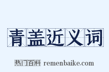 青盖近义词是什么意思的图片